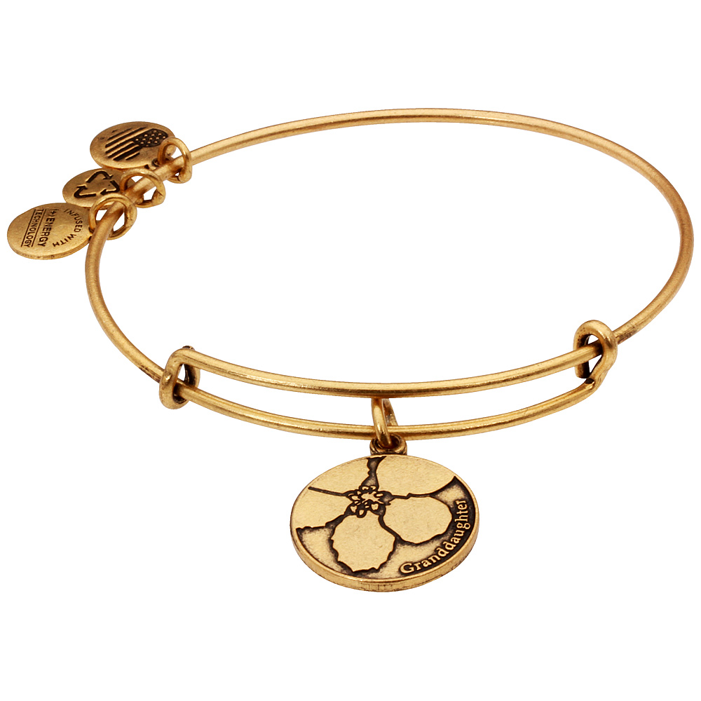 Alex And Ani Granddaughter Charm Rafaelian Gold Finish