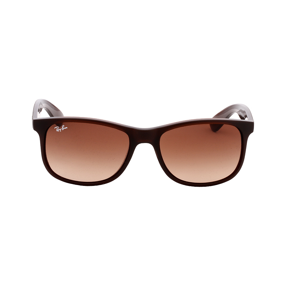 RayBan Andy Nylon Frame Brown Gradient Lens Unisex Sunglasses RB4202