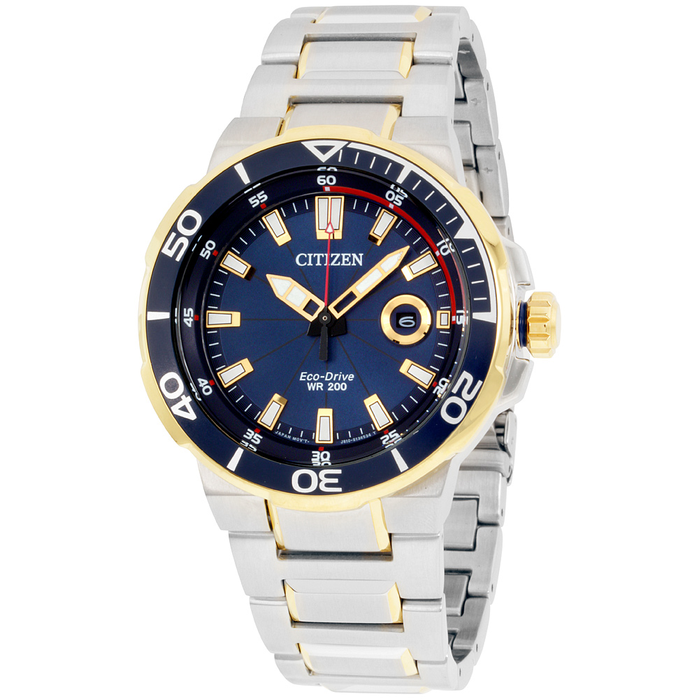 citizen endeavor watch
