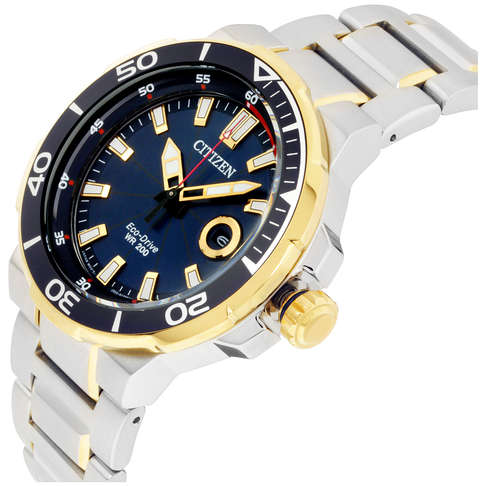citizen endeavor chronograph