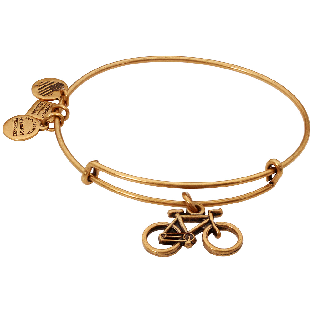 Alex And Ani Bike Charm Rafaelian Gold Finish Bangle