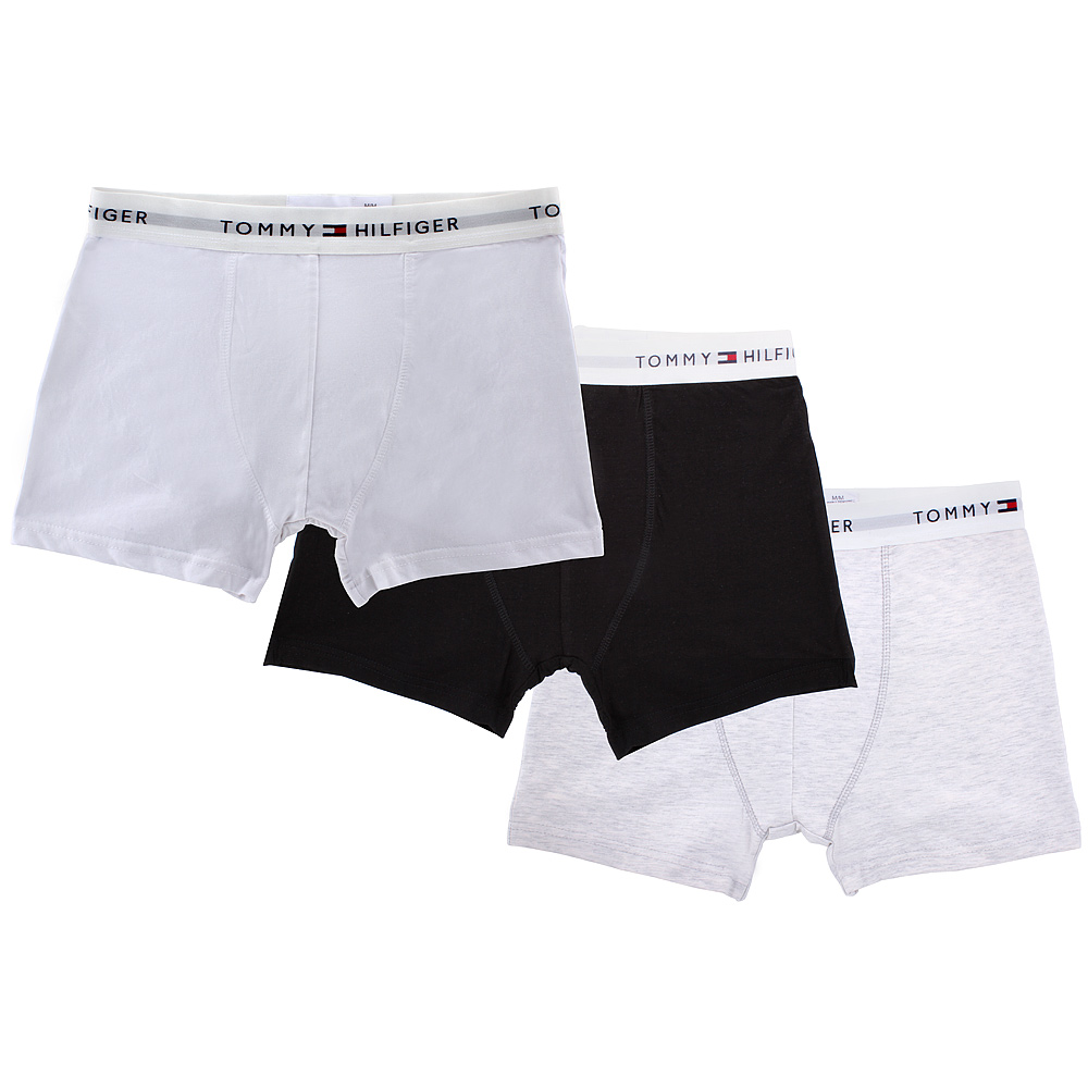 tommy hilfiger trunk underwear