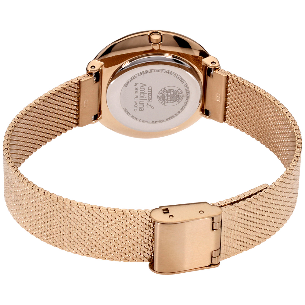 citizen ambiluna eco drive