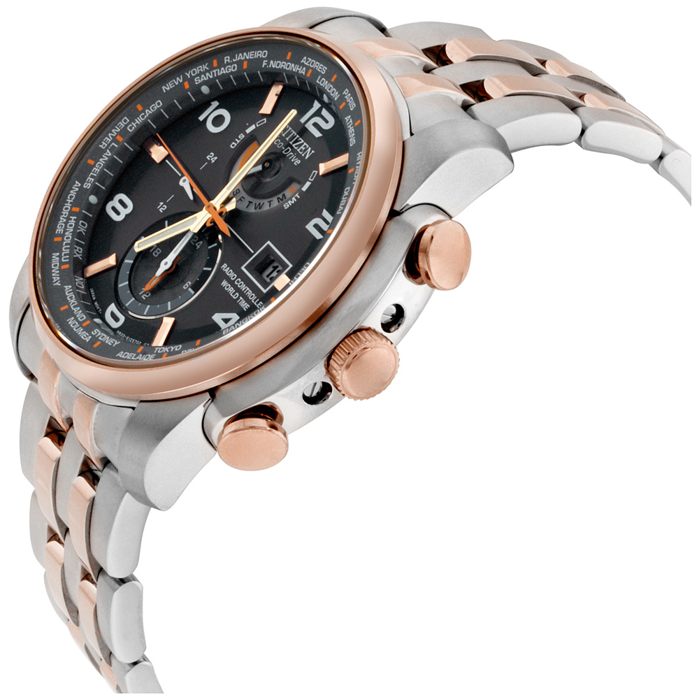 citizen world timer